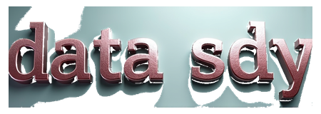 data sdy logo